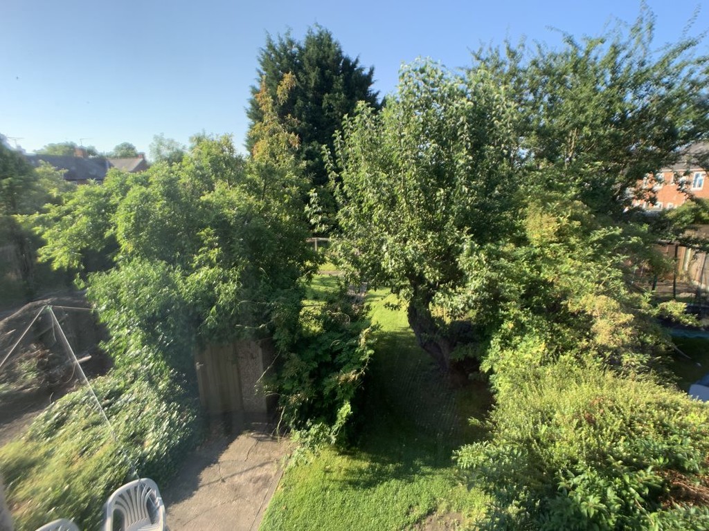 Image of Fourth Avenue, Tang Hall