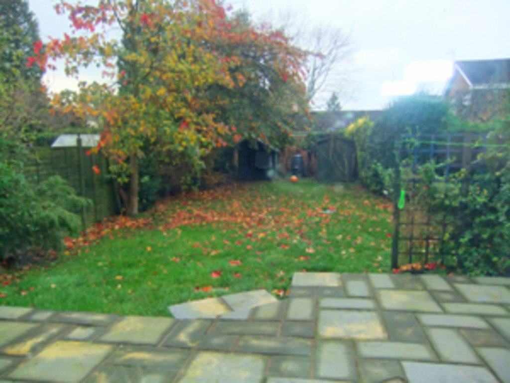 Image of Waynefleet Grove, Hull Road