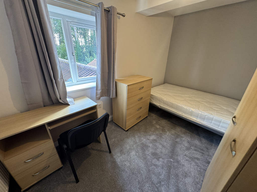 Image of Windmill Lane, Heslington