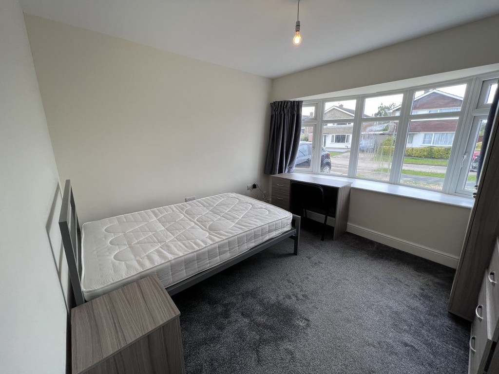 Image of Deramore Drive, Badger Hill