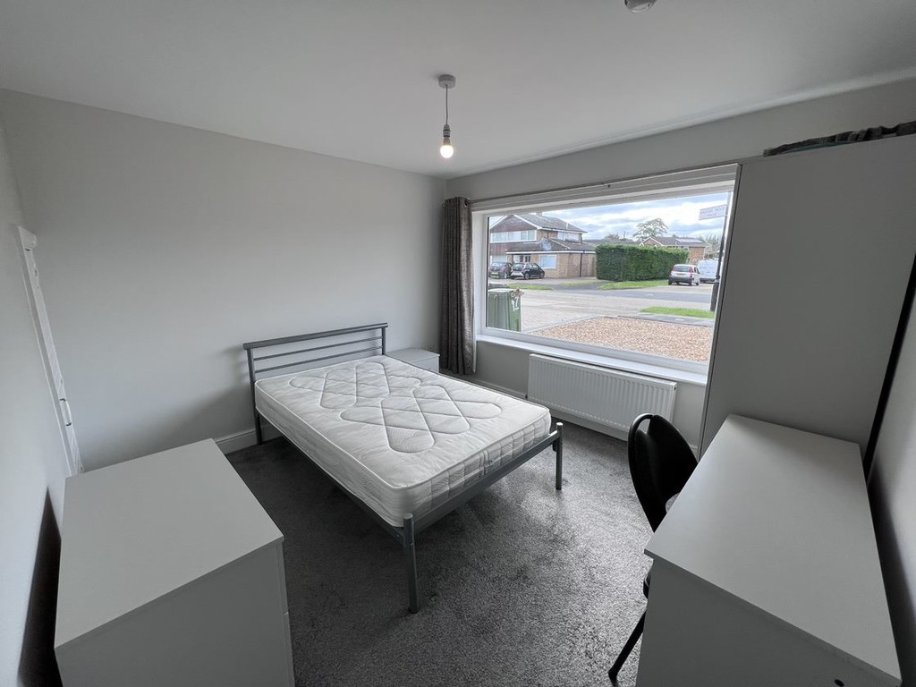 Image of Deramore Drive, Badger Hill