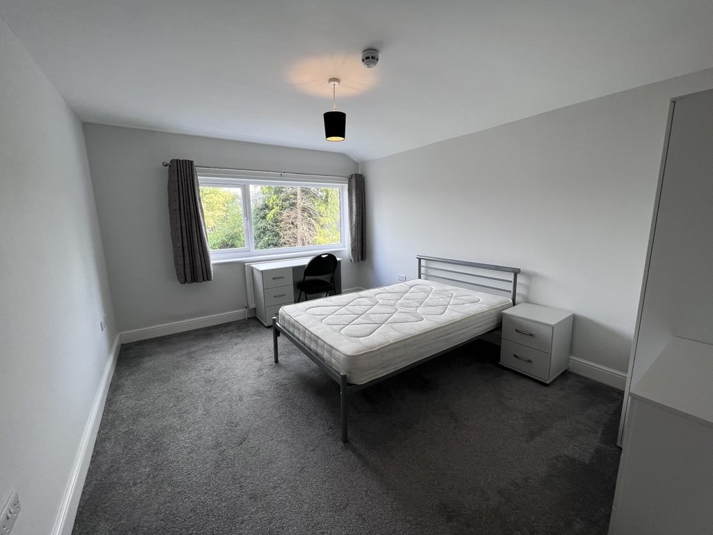 Image of Deramore Drive, Badger Hill