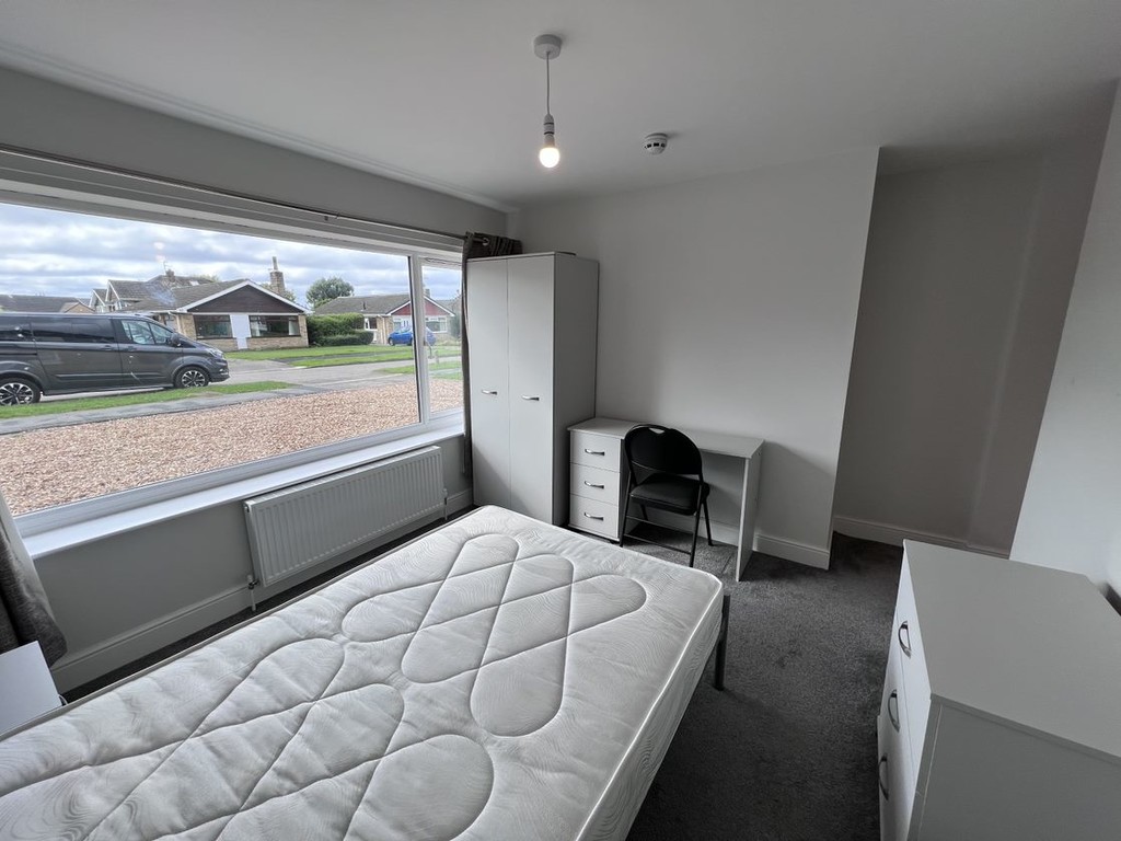 Image of Deramore Drive, Badger Hill