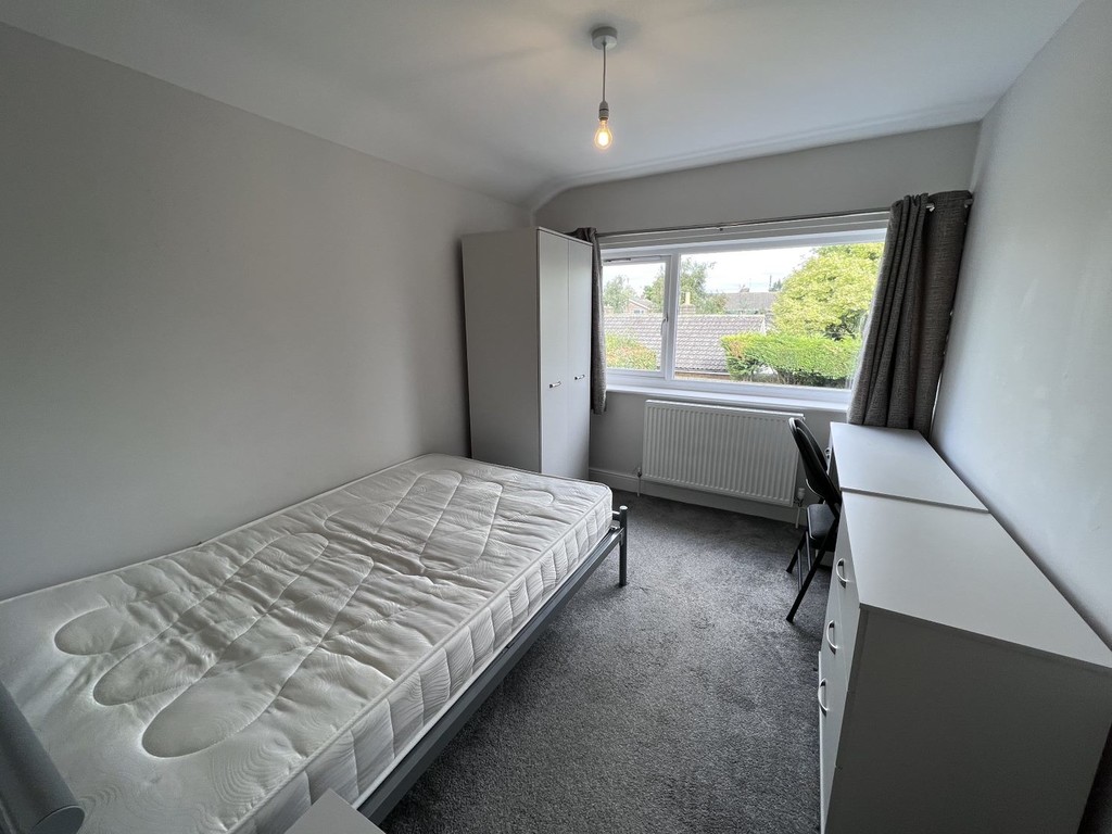 Image of Deramore Drive, Badger Hill