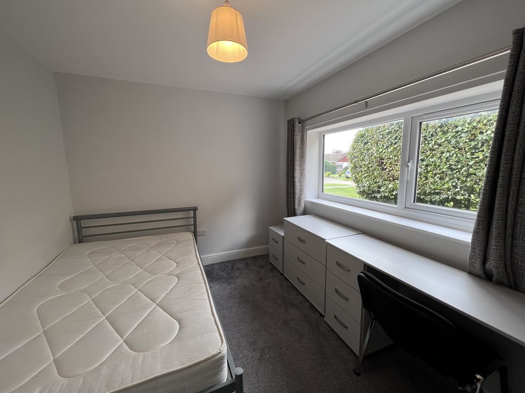 Image of Deramore Drive, Badger Hill