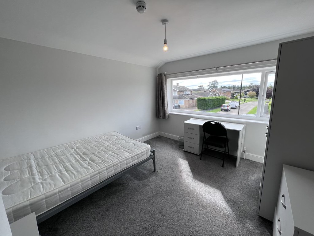 Image of Deramore Drive, Badger Hill